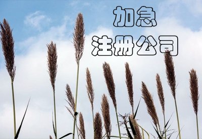 上海公司注冊都有哪些步驟？