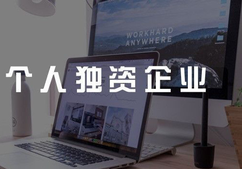 根據(jù)《財(cái)政部國家稅務(wù)總局關(guān)于印發(fā)（關(guān)于個(gè)人獨(dú)資企業(yè)和合伙企業(yè)投資者征收個(gè)人所得稅的規(guī)定）的通知》（財(cái)稅[2000]91號(hào)）針對(duì)入駐的個(gè)人獨(dú)資企業(yè)，按照收入10% 的利潤率實(shí)行優(yōu)惠稅率，通過將個(gè)人所得稅“工資薪金