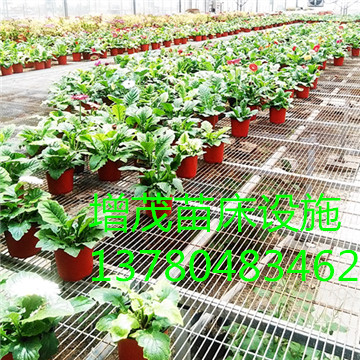 移動(dòng)<a href='/' target='_blank'>苗圃網(wǎng)</a>